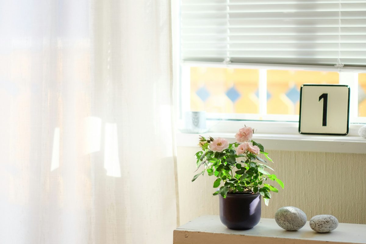 Révélez le charme de votre intérieur : habillez vos fenêtres de stores et volets